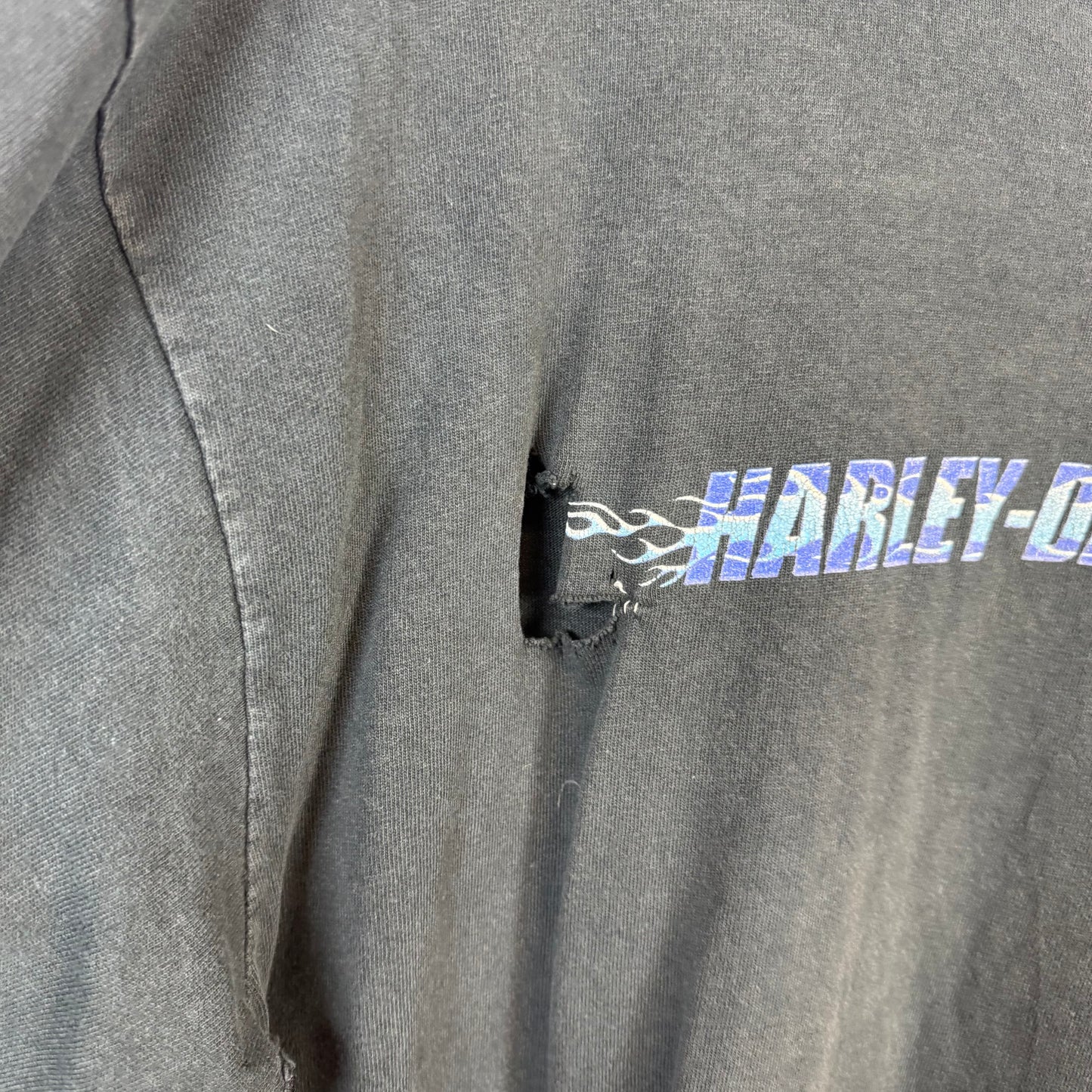 HARLEY DAVIDSON Thrashed Flame Long Sleeve