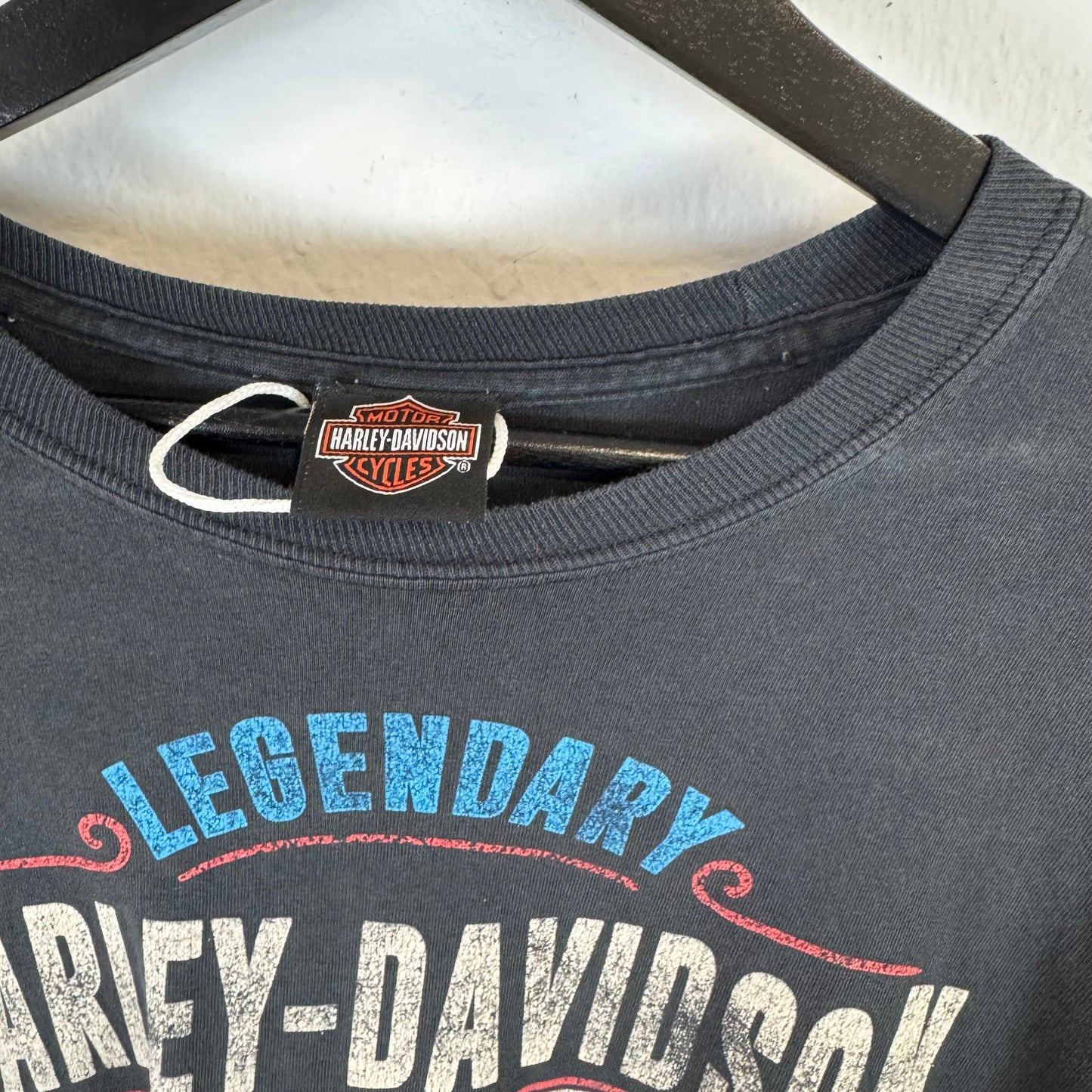 HARLEY DAVIDSON 2018 EAGLE Long Sleeve Tshirt