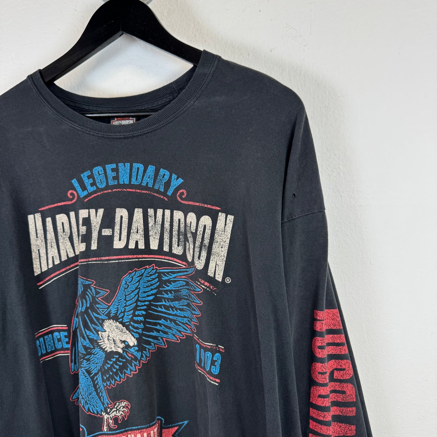 HARLEY DAVIDSON 2018 EAGLE Long Sleeve Tshirt