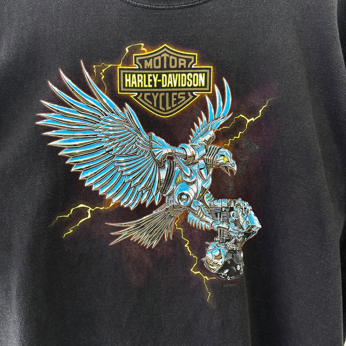 HARLEY DAVIDSON Holoubek Lightning Eagle TShirt