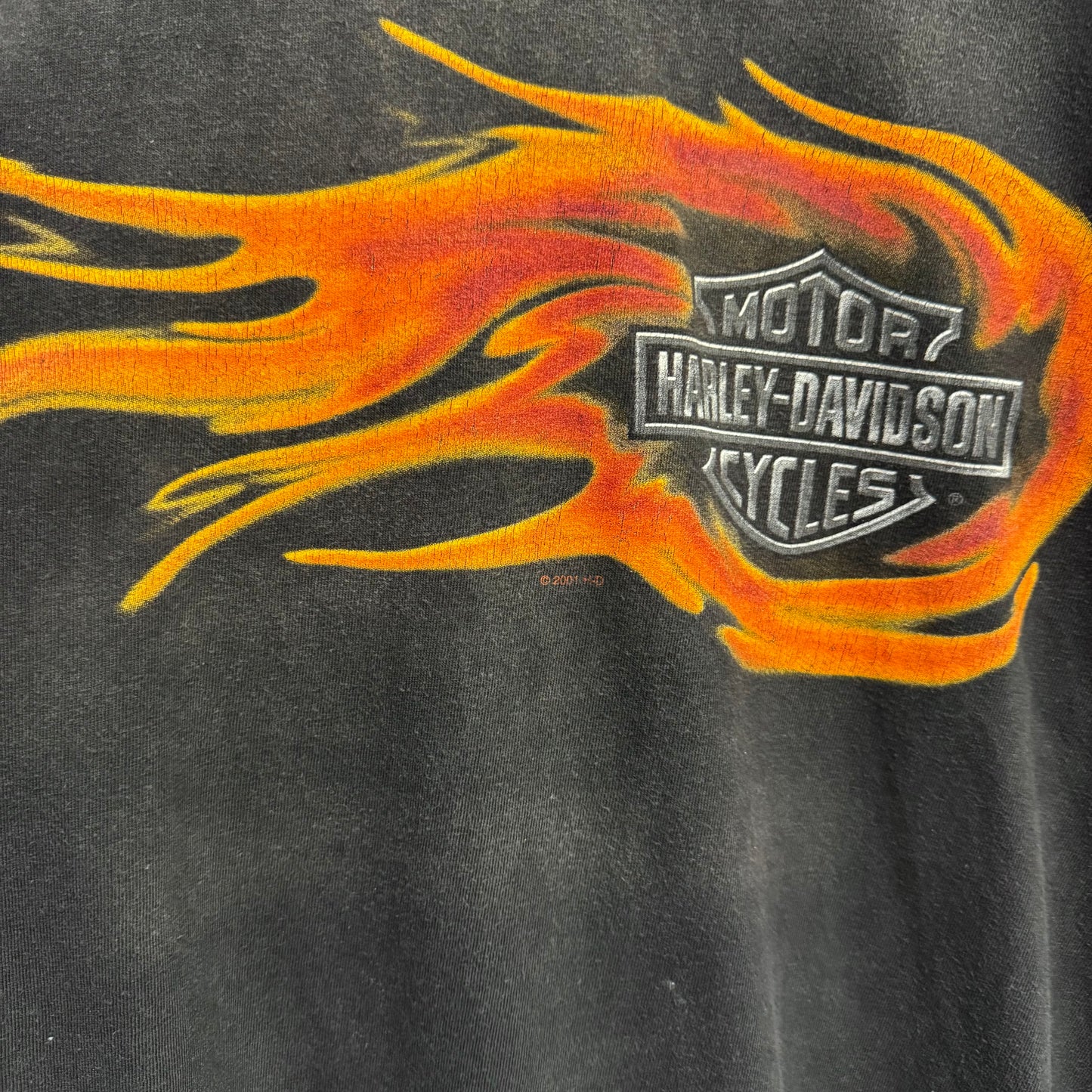 HARLEY DAVIDSON 2001 Hanes Beefy Stratman Fire TShirt