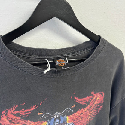 HARLEY DAVIDSON Flames Fader T-Shirt